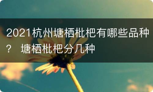 2021杭州塘栖枇杷有哪些品种？ 塘栖枇杷分几种