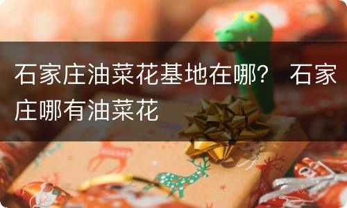 石家庄油菜花基地在哪？ 石家庄哪有油菜花