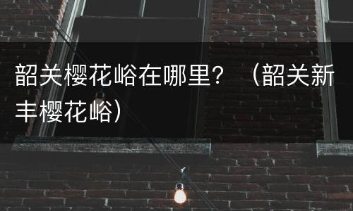 韶关樱花峪在哪里？（韶关新丰樱花峪）