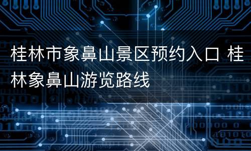 桂林市象鼻山景区预约入口 桂林象鼻山游览路线