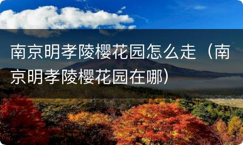 南京明孝陵樱花园怎么走（南京明孝陵樱花园在哪）