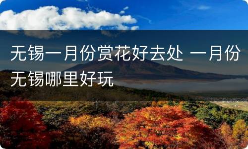 无锡一月份赏花好去处 一月份无锡哪里好玩