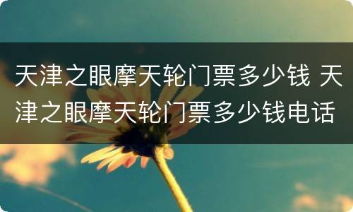 天津之眼摩天轮门票多少钱 天津之眼摩天轮门票多少钱电话