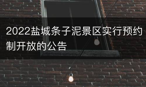 2022盐城条子泥景区实行预约制开放的公告