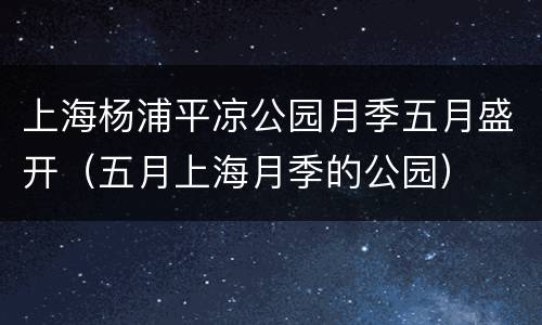 上海杨浦平凉公园月季五月盛开（五月上海月季的公园）