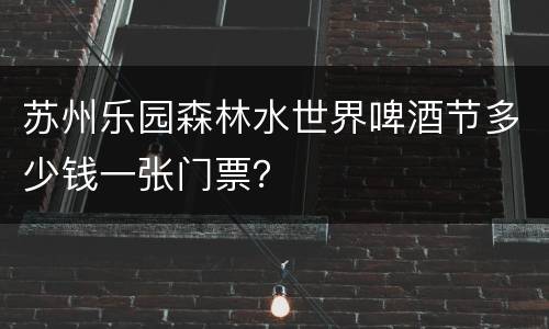 苏州乐园森林水世界啤酒节多少钱一张门票？
