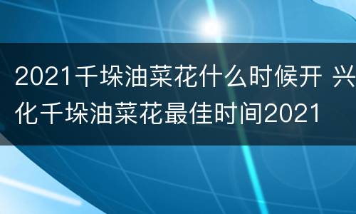 2021千垛油菜花什么时候开 兴化千垛油菜花最佳时间2021