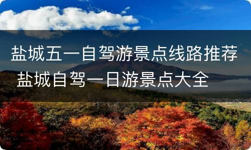 盐城五一自驾游景点线路推荐 盐城自驾一日游景点大全