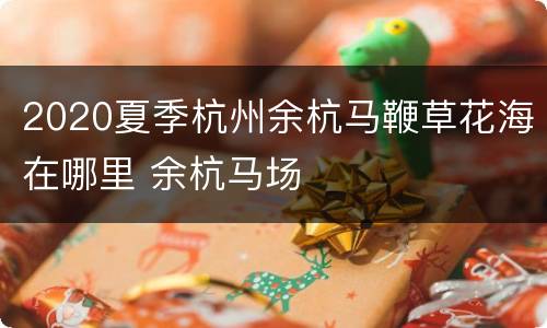 2020夏季杭州余杭马鞭草花海在哪里 余杭马场