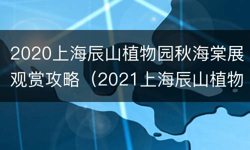 2020上海辰山植物园秋海棠展观赏攻略（2021上海辰山植物园迎春花展）