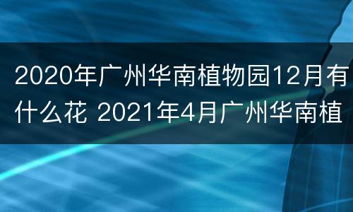 2020年广州华南植物园12月有什么花 2021年4月广州华南植物园