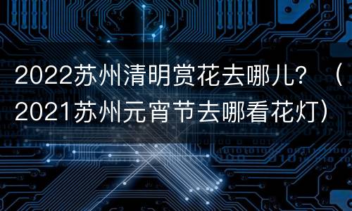 2022苏州清明赏花去哪儿？（2021苏州元宵节去哪看花灯）