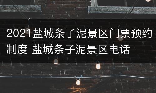 2021盐城条子泥景区门票预约制度 盐城条子泥景区电话