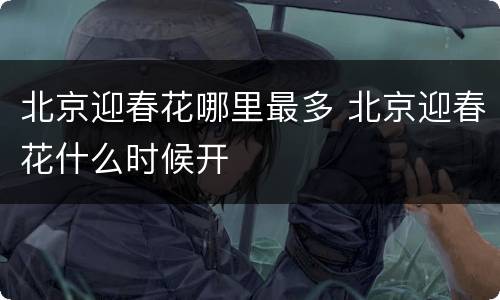 北京迎春花哪里最多 北京迎春花什么时候开