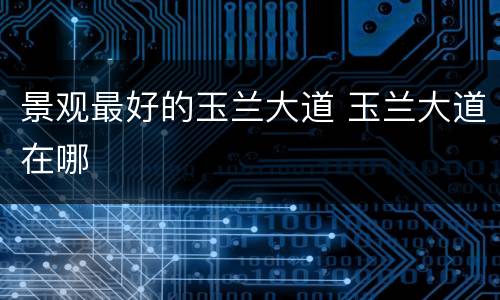 景观最好的玉兰大道 玉兰大道在哪