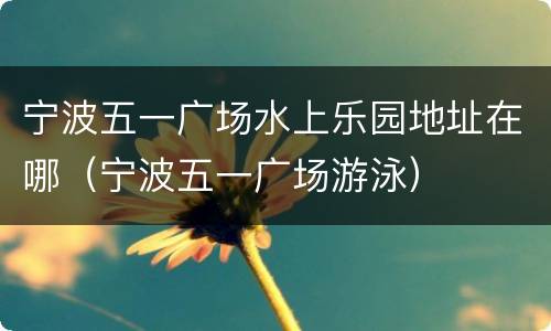 宁波五一广场水上乐园地址在哪（宁波五一广场游泳）