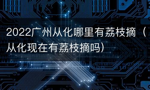 2022广州从化哪里有荔枝摘（从化现在有荔枝摘吗）