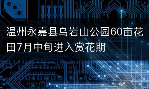 温州永嘉县乌岩山公园60亩花田7月中旬进入赏花期