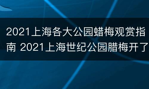 2021上海各大公园蜡梅观赏指南 2021上海世纪公园腊梅开了吗