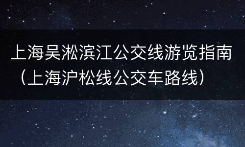 上海吴淞滨江公交线游览指南（上海沪松线公交车路线）