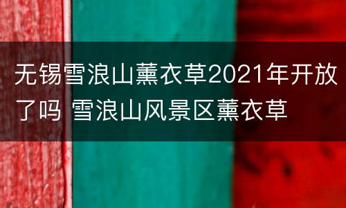 无锡雪浪山薰衣草2021年开放了吗 雪浪山风景区薰衣草