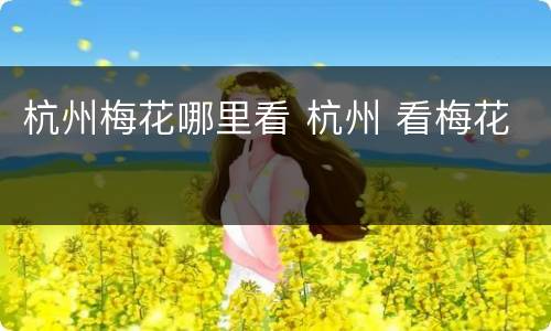 杭州梅花哪里看 杭州 看梅花