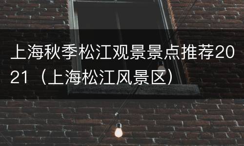 上海秋季松江观景景点推荐2021（上海松江风景区）