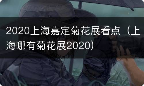 2020上海嘉定菊花展看点（上海哪有菊花展2020）