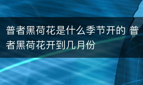 普者黑荷花是什么季节开的 普者黑荷花开到几月份