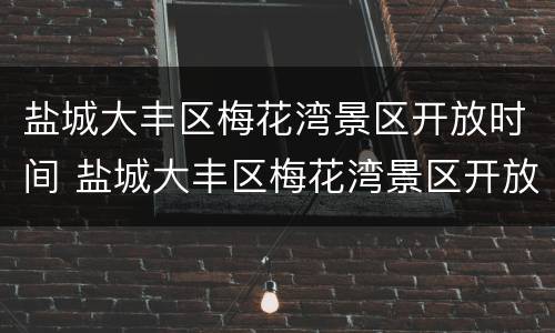 盐城大丰区梅花湾景区开放时间 盐城大丰区梅花湾景区开放时间表
