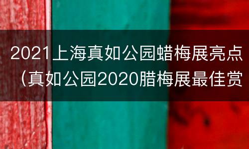 2021上海真如公园蜡梅展亮点（真如公园2020腊梅展最佳赏花期）