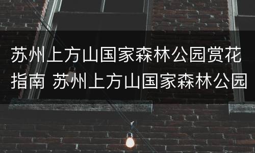 苏州上方山国家森林公园赏花指南 苏州上方山国家森林公园视频
