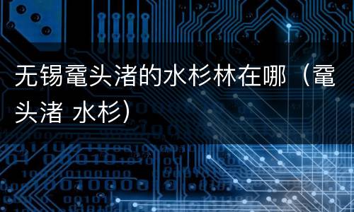 无锡鼋头渚的水杉林在哪（鼋头渚 水杉）