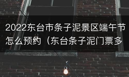2022东台市条子泥景区端午节怎么预约（东台条子泥门票多少钱）