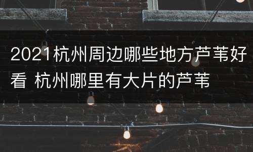 2021杭州周边哪些地方芦苇好看 杭州哪里有大片的芦苇