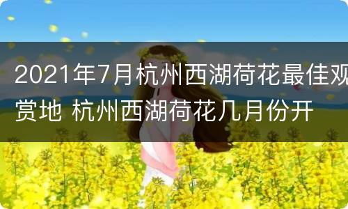 2021年7月杭州西湖荷花最佳观赏地 杭州西湖荷花几月份开