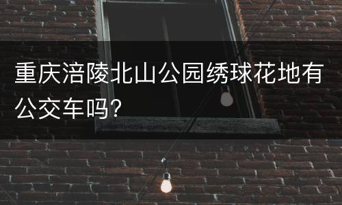 重庆涪陵北山公园绣球花地有公交车吗?
