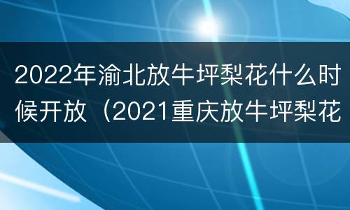 2022年渝北放牛坪梨花什么时候开放（2021重庆放牛坪梨花）