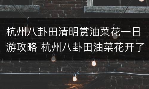 杭州八卦田清明赏油菜花一日游攻略 杭州八卦田油菜花开了吗