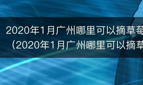 2020年1月广州哪里可以摘草莓（2020年1月广州哪里可以摘草莓苗）