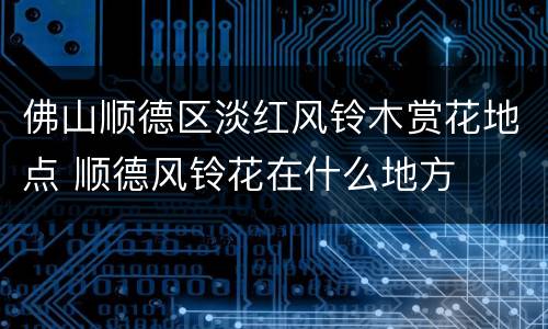 佛山顺德区淡红风铃木赏花地点 顺德风铃花在什么地方