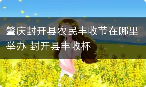 肇庆封开县农民丰收节在哪里举办 封开县丰收杯