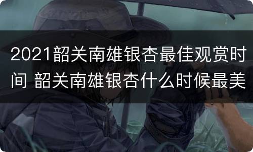2021韶关南雄银杏最佳观赏时间 韶关南雄银杏什么时候最美