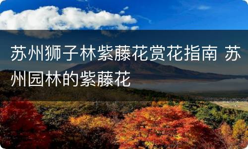 苏州狮子林紫藤花赏花指南 苏州园林的紫藤花