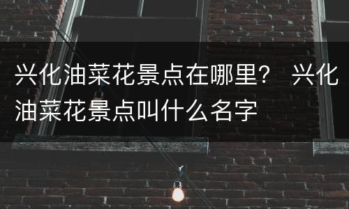 兴化油菜花景点在哪里？ 兴化油菜花景点叫什么名字