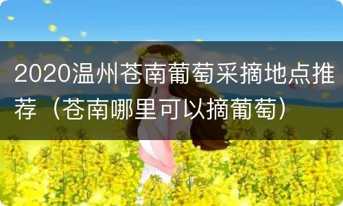 2020温州苍南葡萄采摘地点推荐（苍南哪里可以摘葡萄）