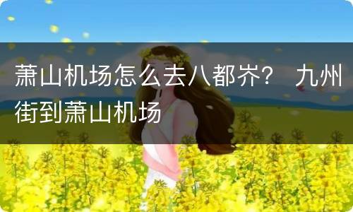 萧山机场怎么去八都岕？ 九州街到萧山机场