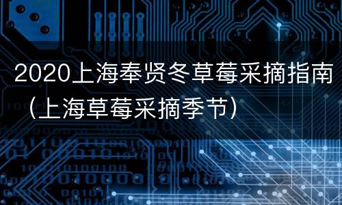 2020上海奉贤冬草莓采摘指南（上海草莓采摘季节）