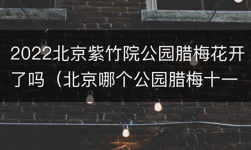 2022北京紫竹院公园腊梅花开了吗（北京哪个公园腊梅十一月已开了）