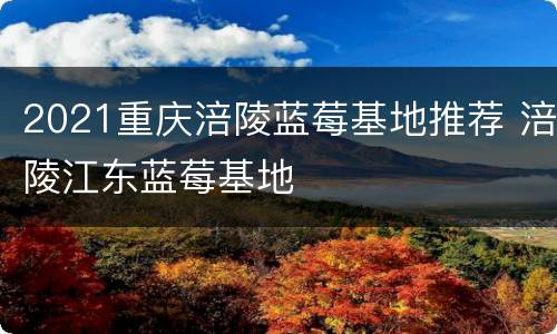 2021重庆涪陵蓝莓基地推荐 涪陵江东蓝莓基地